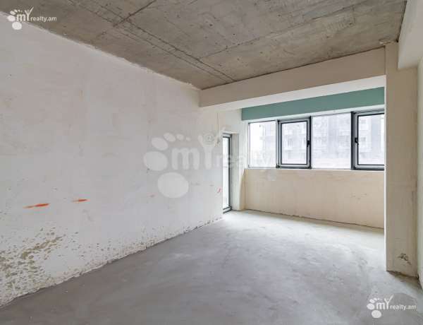 3-senyakanoc-bnakaran-vacharq-Yerevan-Arabkir