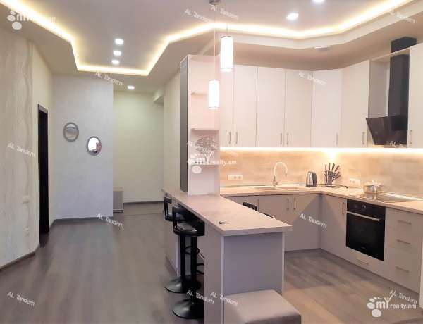 2-senyakanoc-bnakaran-vacharq-Yerevan-Center