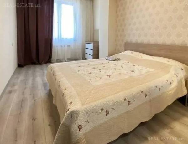 3-senyakanoc-bnakaran-vardzakalutyun-Yerevan-Arabkir