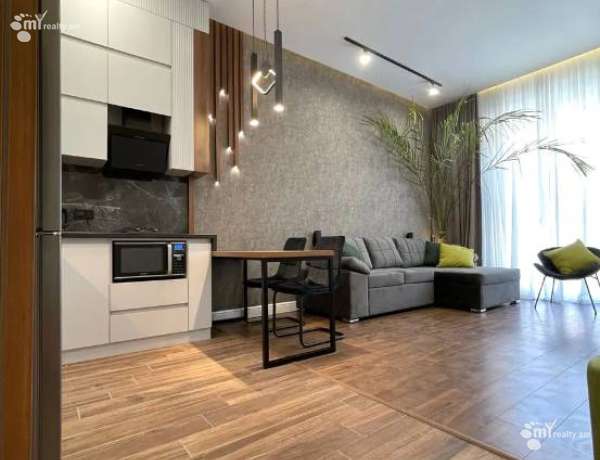 2-senyakanoc-bnakaran-vardzakalutyun-Yerevan-Center