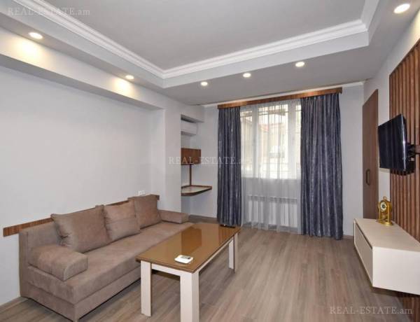1-senyakanoc-bnakaran-vardzakalutyun-Yerevan-Arabkir