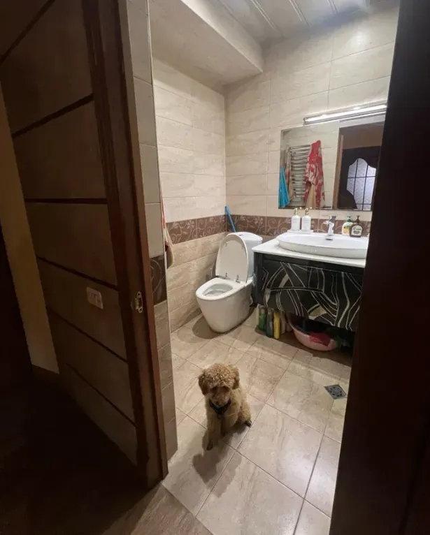 3 bedroom apartment for sale Gyulbenkyan St, Arabkir Yerevan, 158431