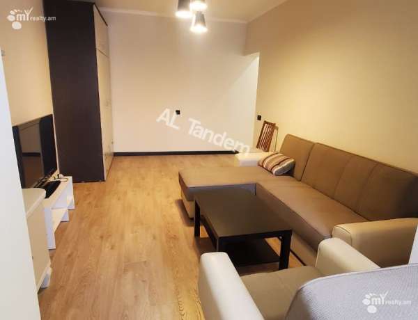 2-senyakanoc-bnakaran-vardzakalutyun-Yerevan-Arabkir