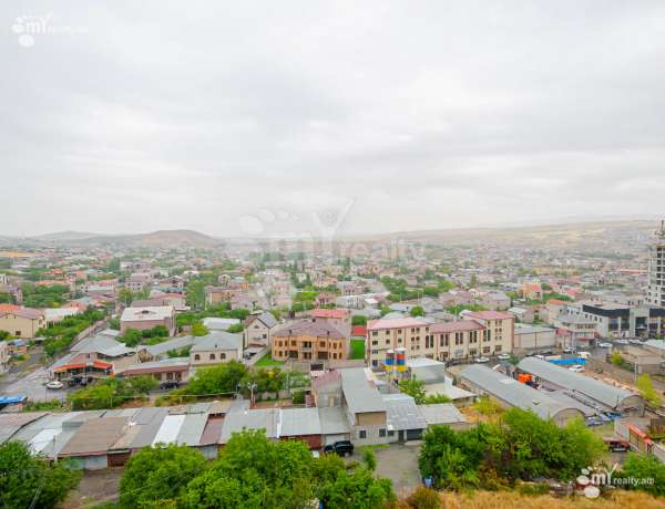 3-senyakanoc-bnakaran-vacharq-Yerevan-Avan