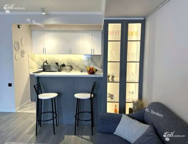 2-senyakanoc-bnakaran-vacharq-Yerevan-Arabkir