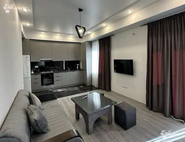 3-senyakanoc-bnakaran-vardzakalutyun-Yerevan-Davtashen