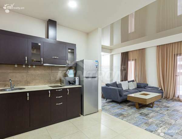 2-senyakanoc-bnakaran-vardzakalutyun-Yerevan-Center