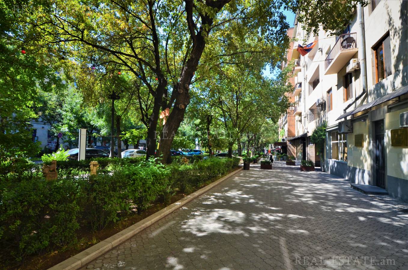 2 bedroom apartment for rent Abovyan St, Center Yerevan, 113074